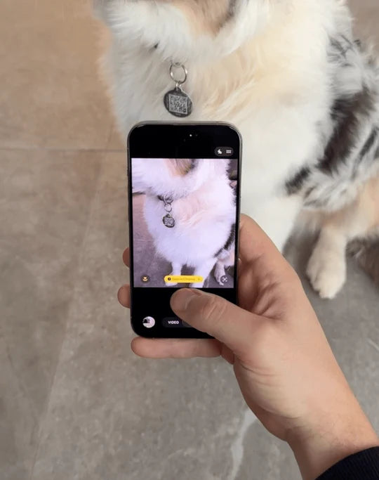 Scan Your PawTag